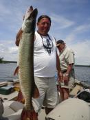 Muskies in Lake of the Woods