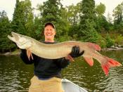 Musky fishing in Kenora Ontario