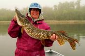 Shoal lake Northern Fishing