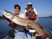 Kenora Ontario Walleye Fishing