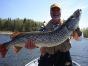 Fishing in Kenora Ontario