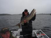 Lake Trout