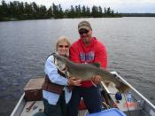 Lake Trout