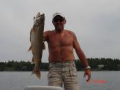 Lake Trout