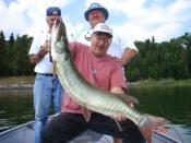 Muskie fishing