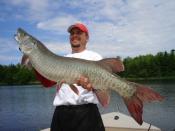 muskie fishing Lake of the Woods