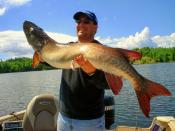 Muskie fishing Kenora ontario